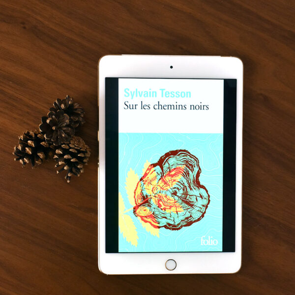 sur les chemins noirs sylvain tesson avis lecture ebook