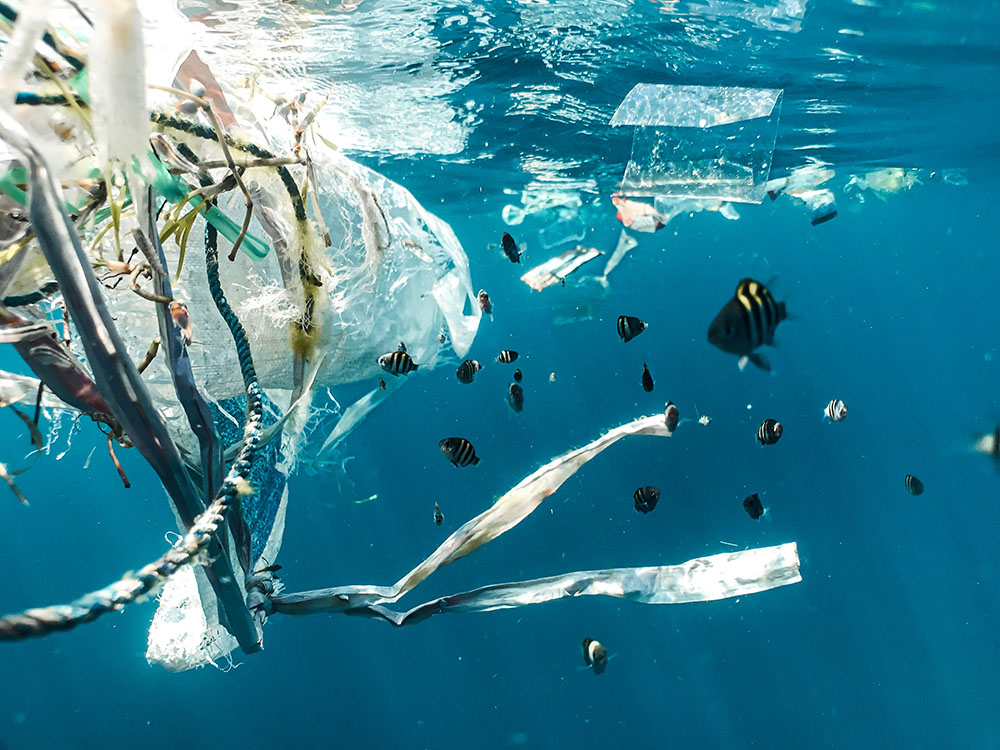 Pollution plastique océans Billie Bel guilleret voyage en terre minee sujet