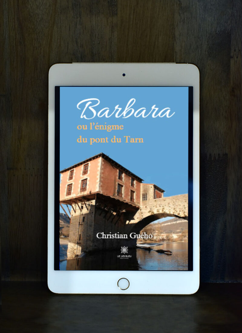 Barbara ou l'énigme du pont du Tarn